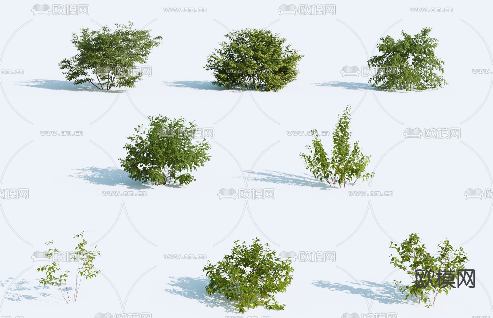 景观树 灌木丛3d模型下载