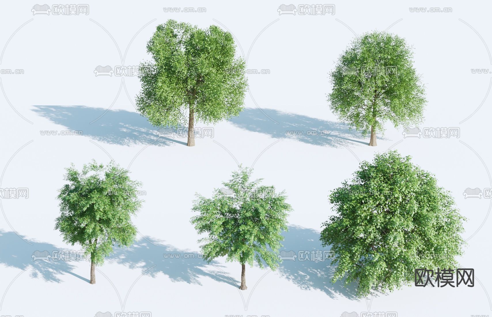 大树 景观树3d模型下载_ID14172134_3dmax免费模型-欧模网