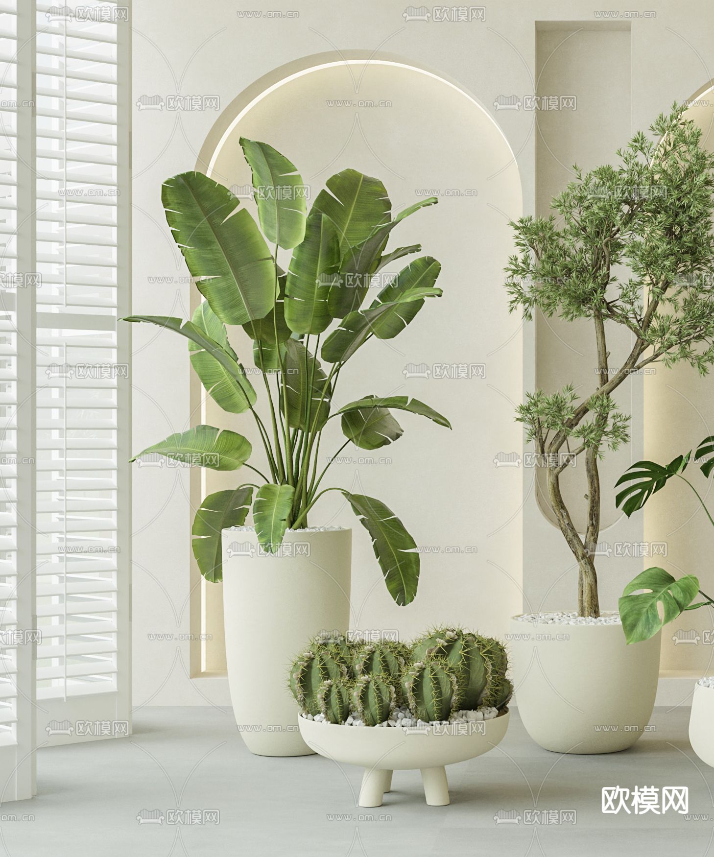 盆栽 盆景 仙人球 芭蕉叶3d模型下载（渲染图2）