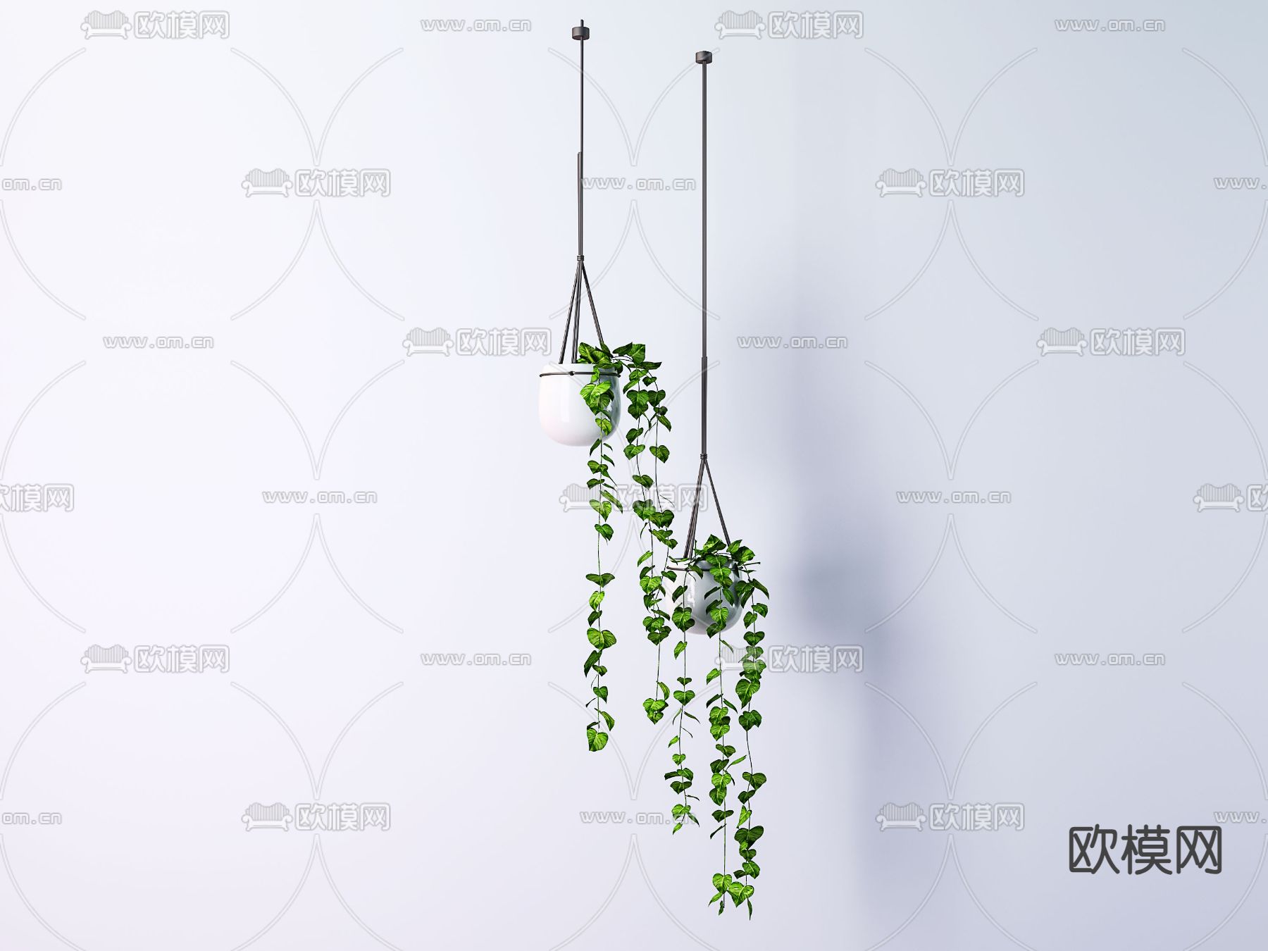 植物花卉 吊篮3d模型下载