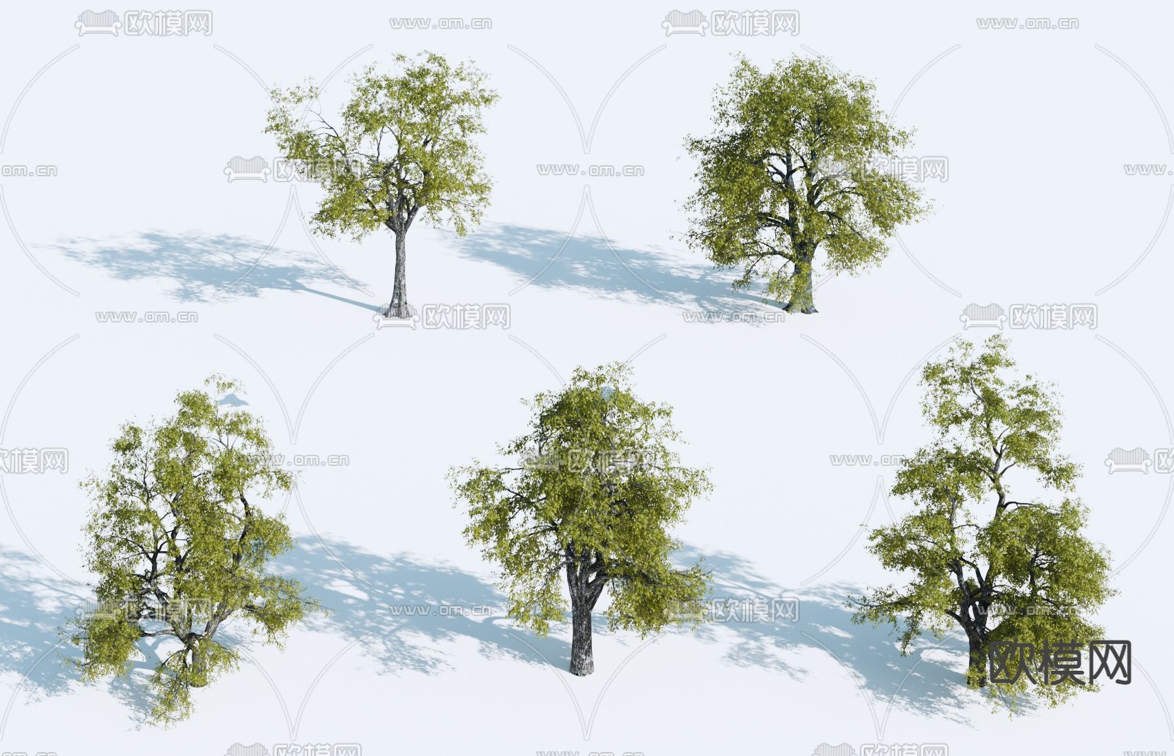 大树 景观树 行道树3d模型下载_ID14171496_3dmax免费模型-欧模网