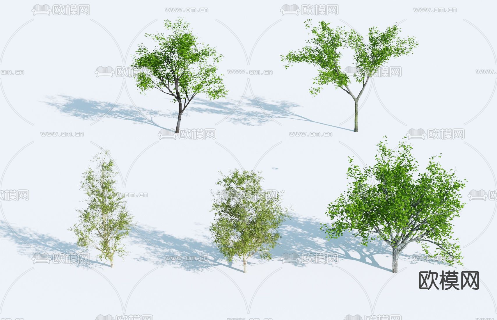 大树 景观树 行道树3d模型下载