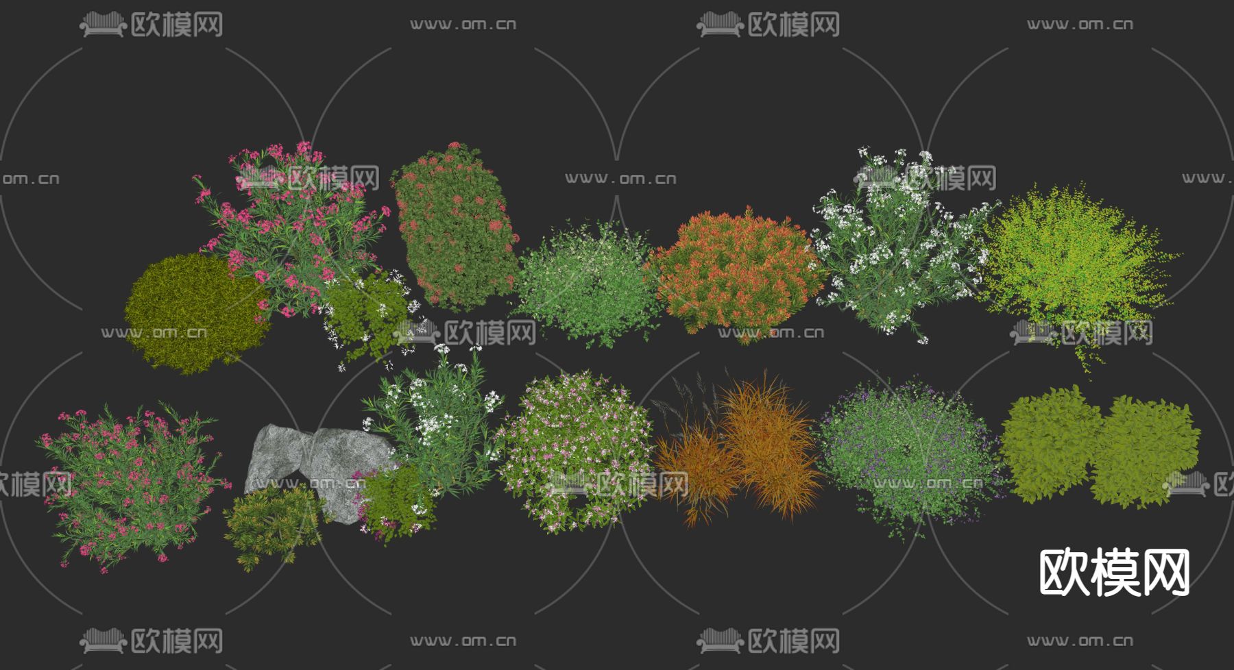 花草花卉植物堆su模型下载（渲染图2）