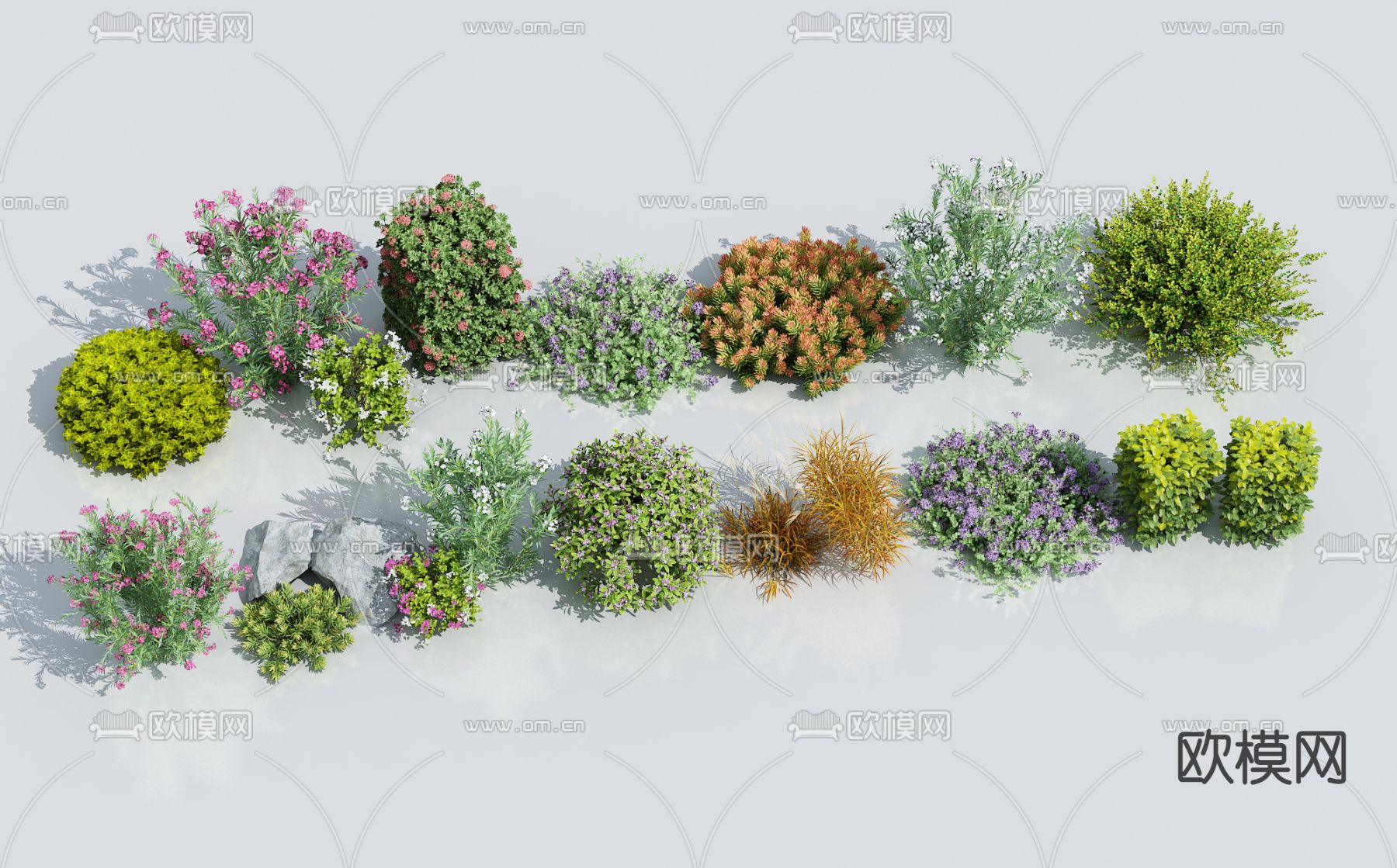 花草花卉植物堆su模型下载（渲染图1）