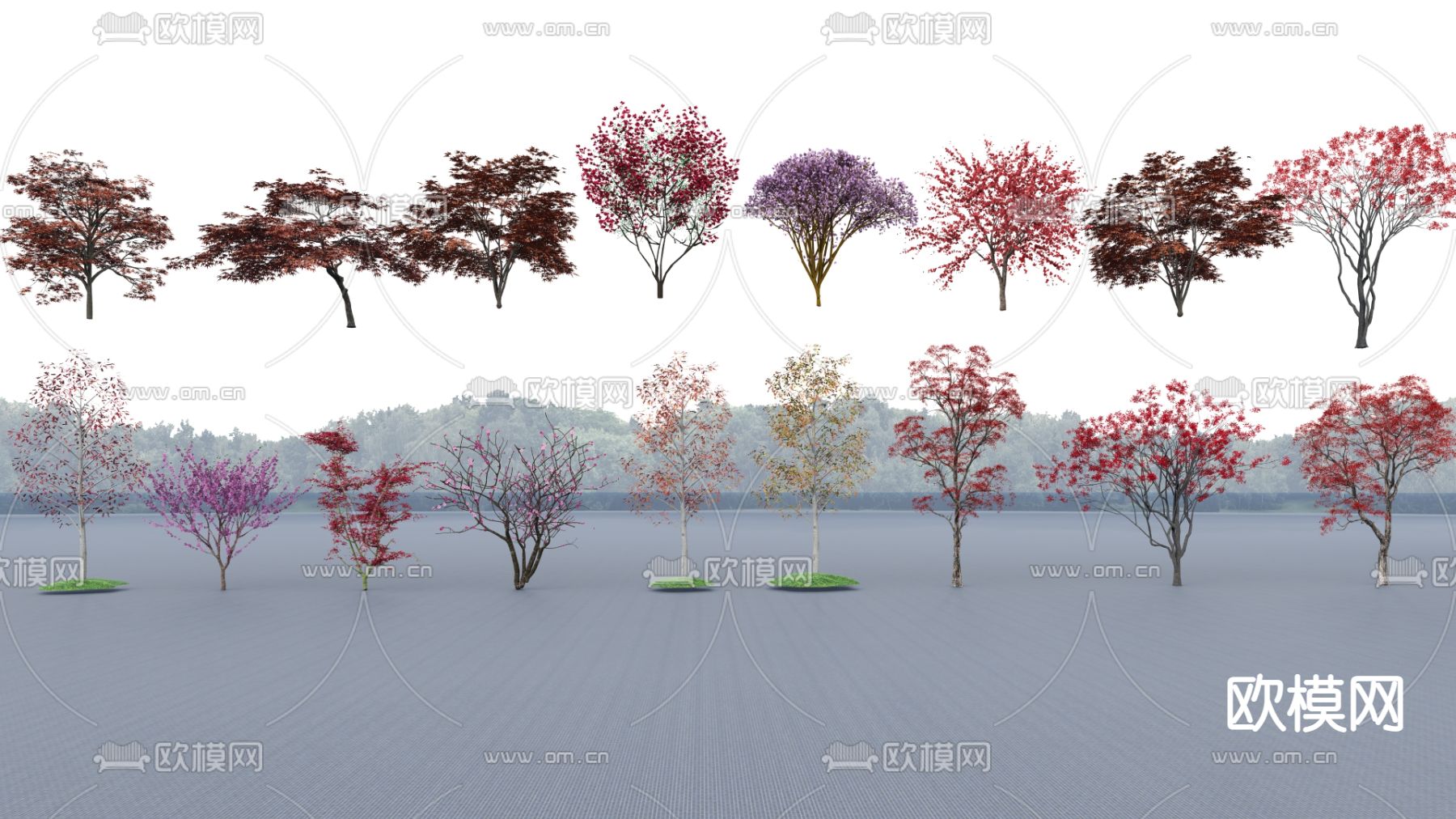 景观树su模型下载（渲染图1）