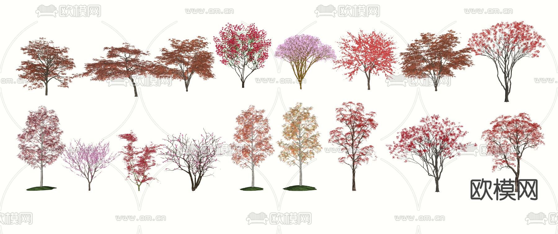 景观树su模型下载（渲染图4）