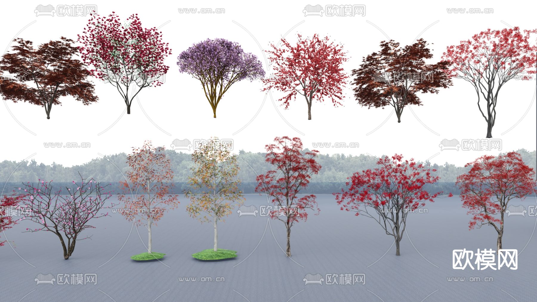 景观树su模型下载（渲染图3）