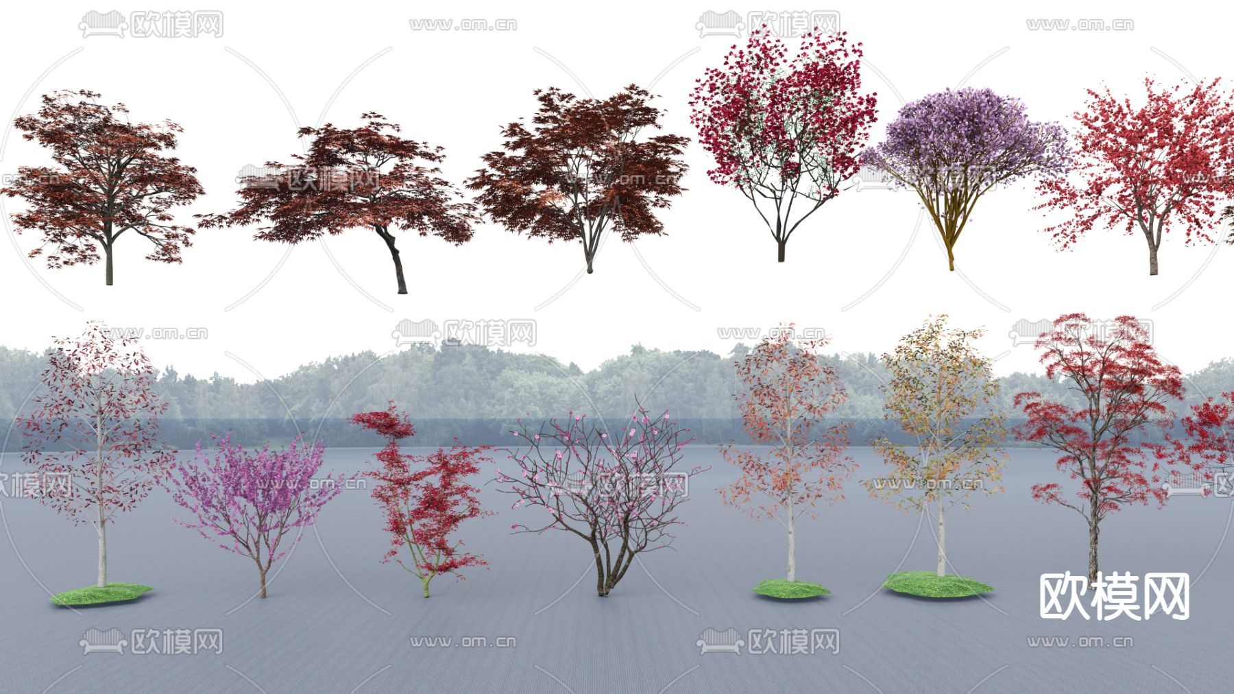 景观树su模型下载（渲染图2）