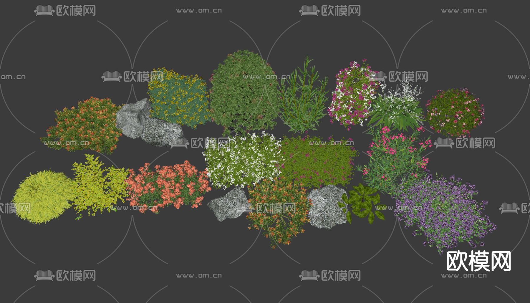花草花卉植物堆su模型下载（渲染图2）
