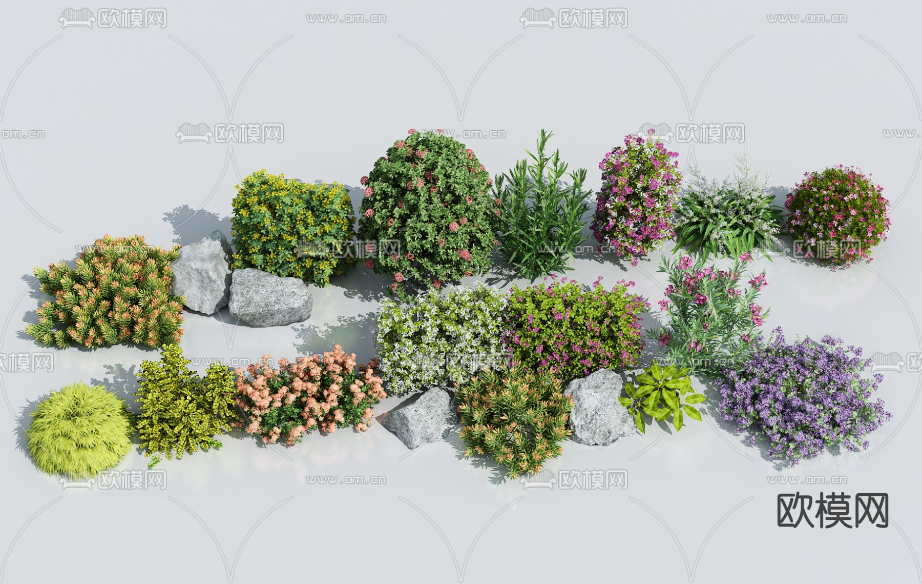 花草花卉植物堆su模型下载（渲染图1）