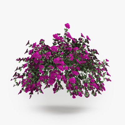  玫瑰花 蔷薇花 花卉su模型 