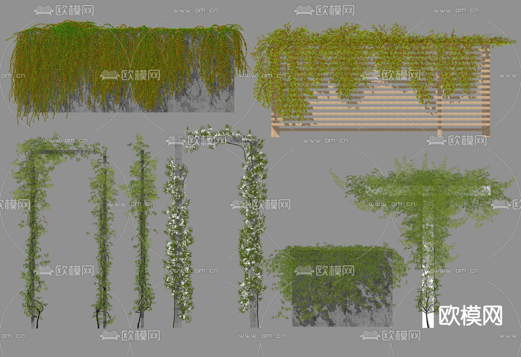 爬山虎 爬藤su模型下载（渲染图2）