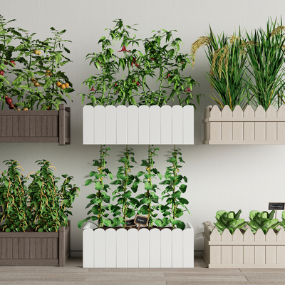  蔬菜 农作物菜园 菜地 瓜果su模型 