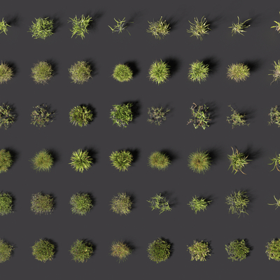  景观草 草丛 草地su模型 