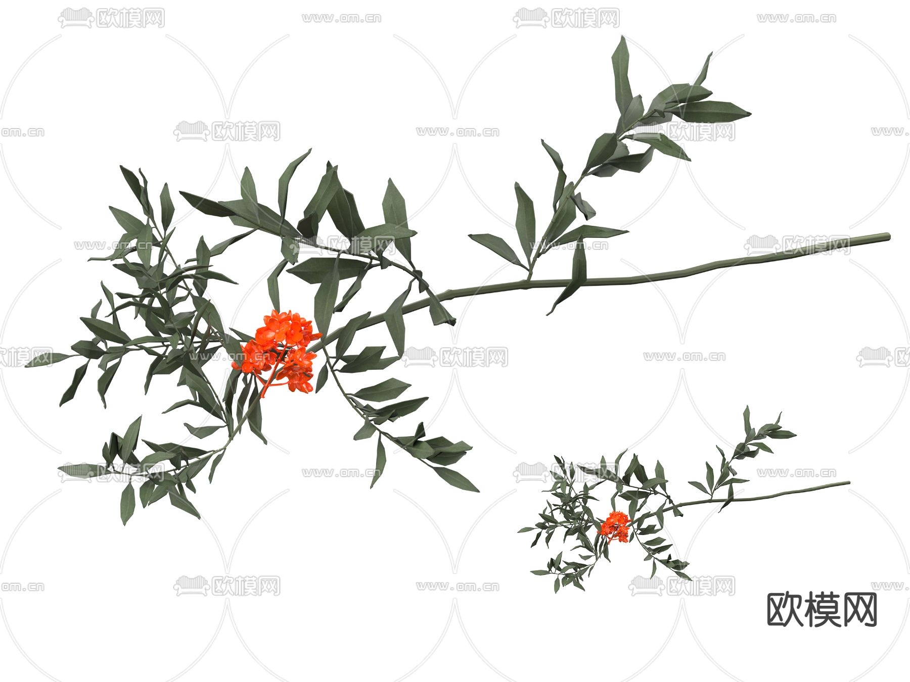 花枝su模型下载（渲染图1）