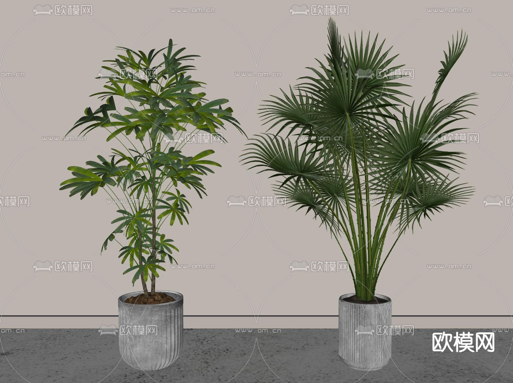 盆栽 盆景su模型下载（渲染图2）