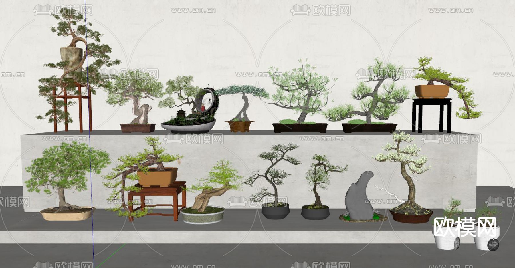 松树盆景 盆栽su模型下载（渲染图2）