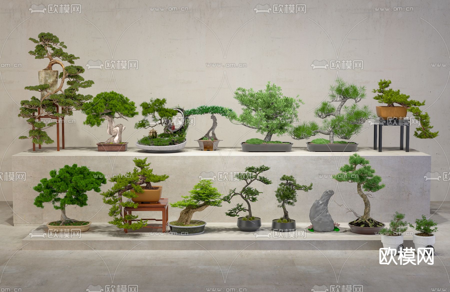 松树盆景 盆栽su模型下载（渲染图1）