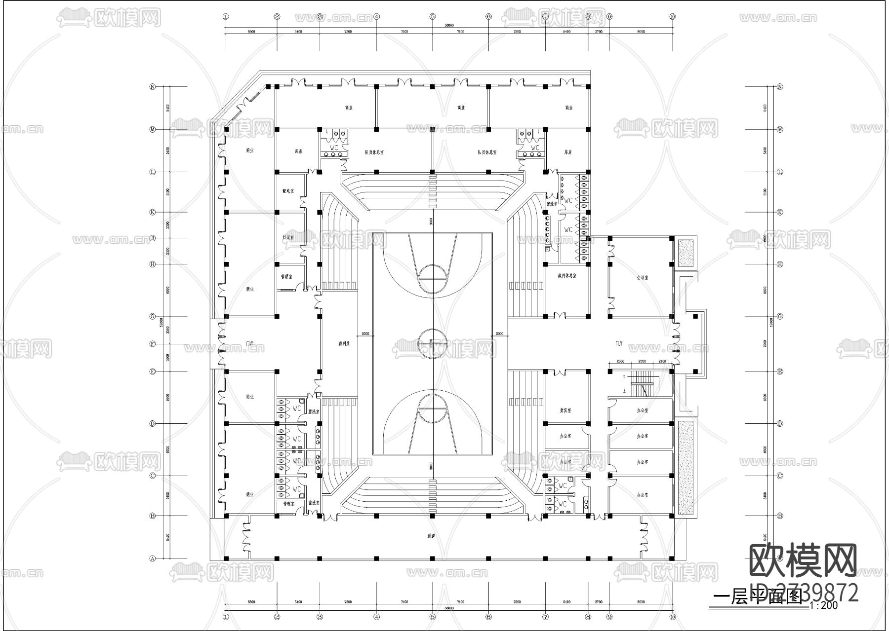 体育馆CAD施工图下载（渲染图1）