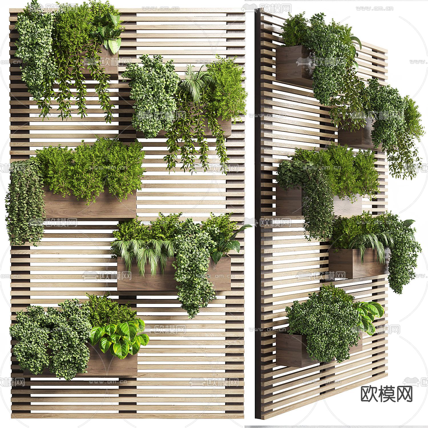 绿植 盆栽 植物墙3d模型下载（渲染图2）