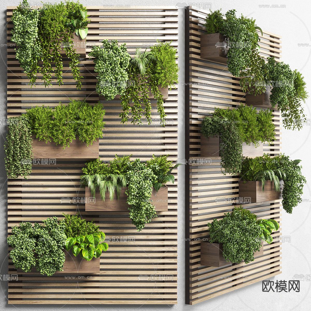 绿植 盆栽 植物墙3d模型下载（渲染图1）