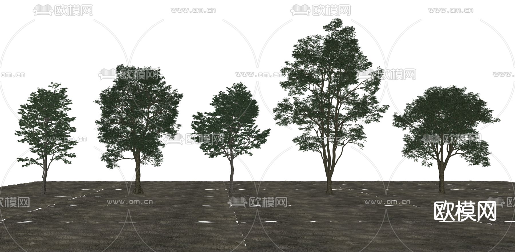 现代景观树su模型下载（渲染图2）