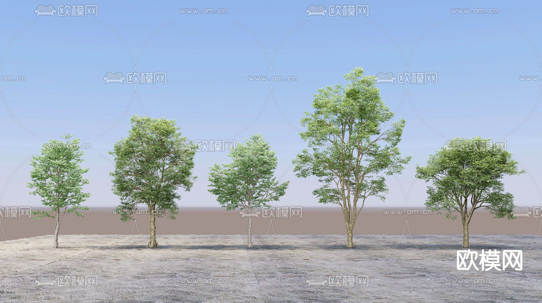 现代景观树su模型下载（渲染图1）