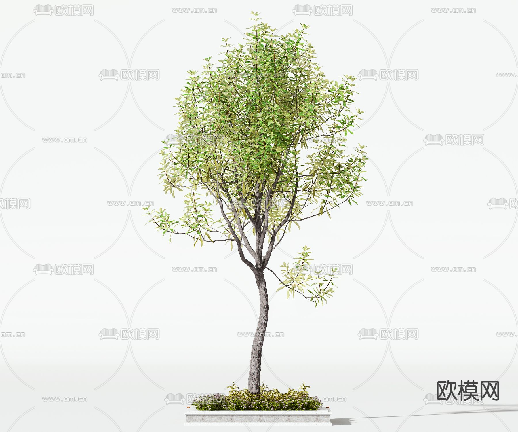 树木 景观树3d模型下载