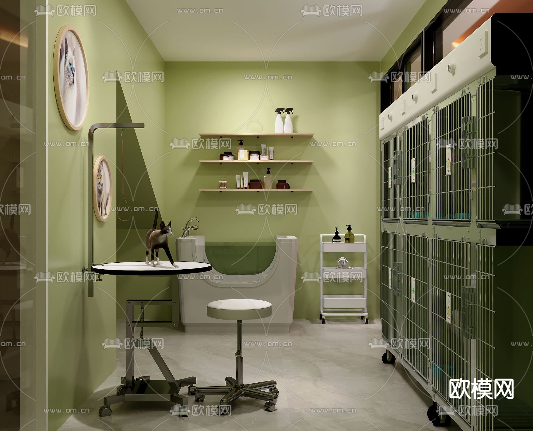 现代宠物店3d模型下载（渲染图4）