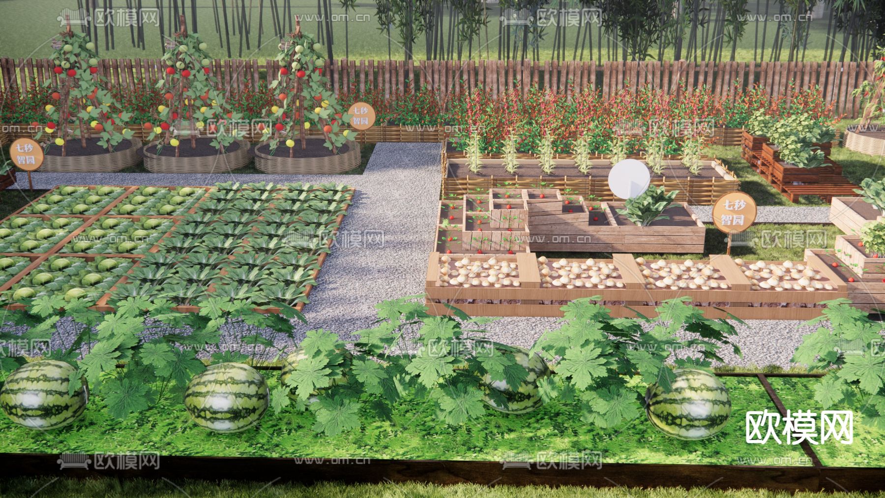 现代乡村菜地 菜园su模型下载（渲染图2）
