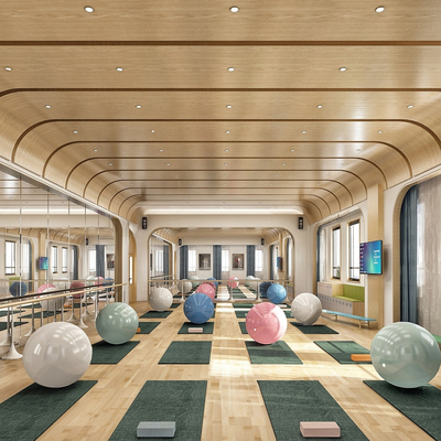  现代舞蹈室 瑜伽室su模型 