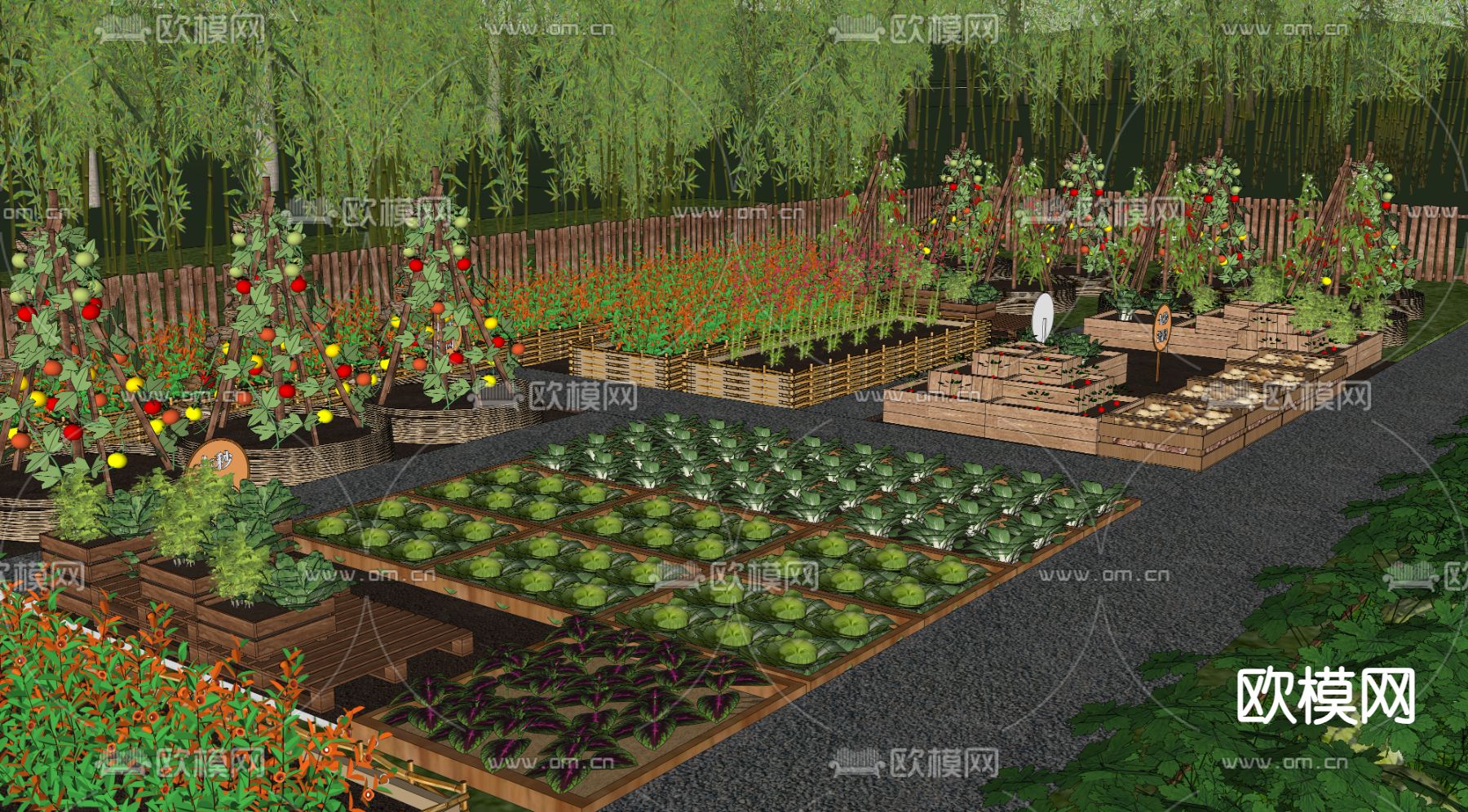 现代乡村菜地 菜园su模型下载（渲染图3）