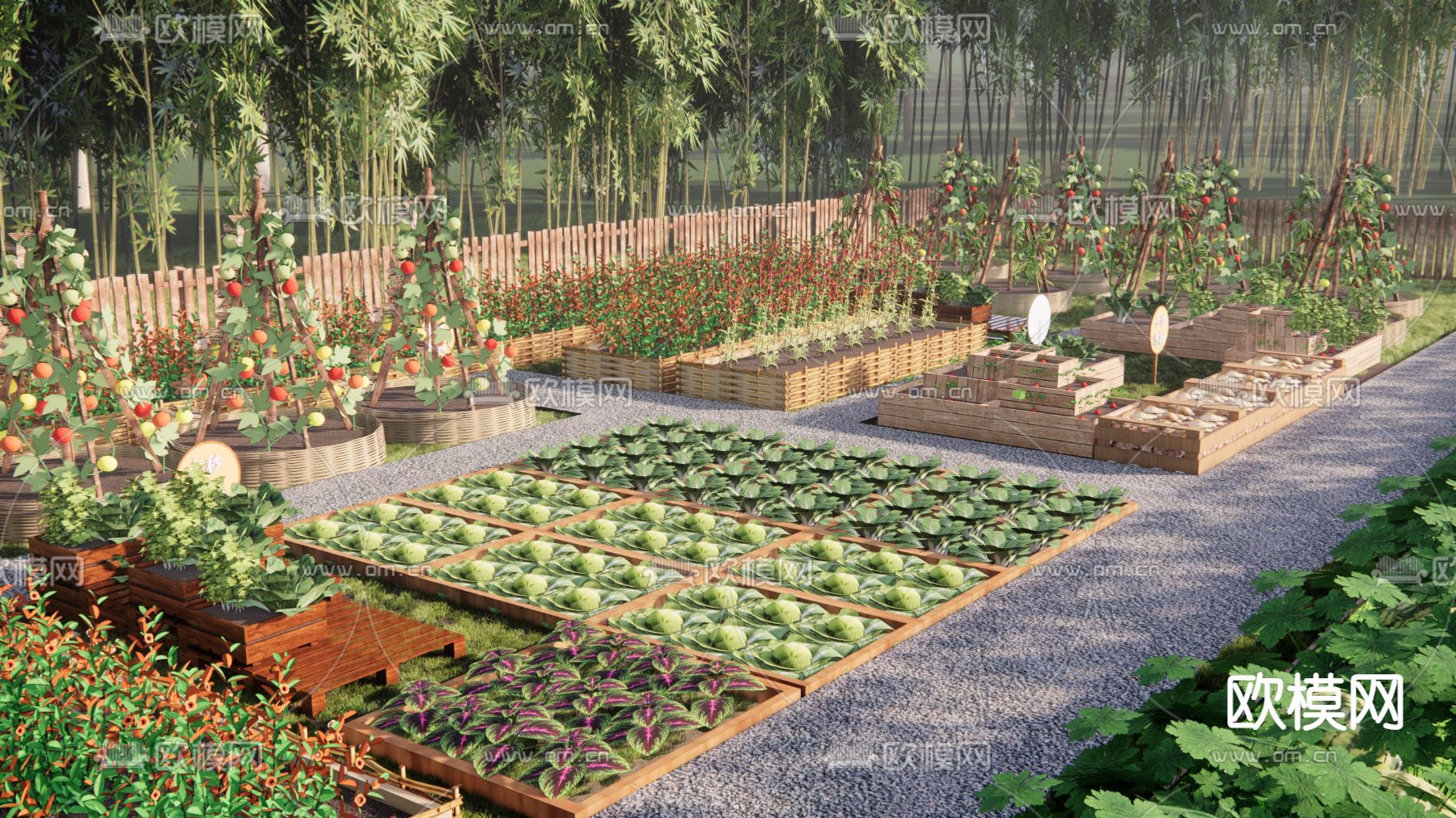 现代乡村菜地 菜园su模型下载（渲染图1）