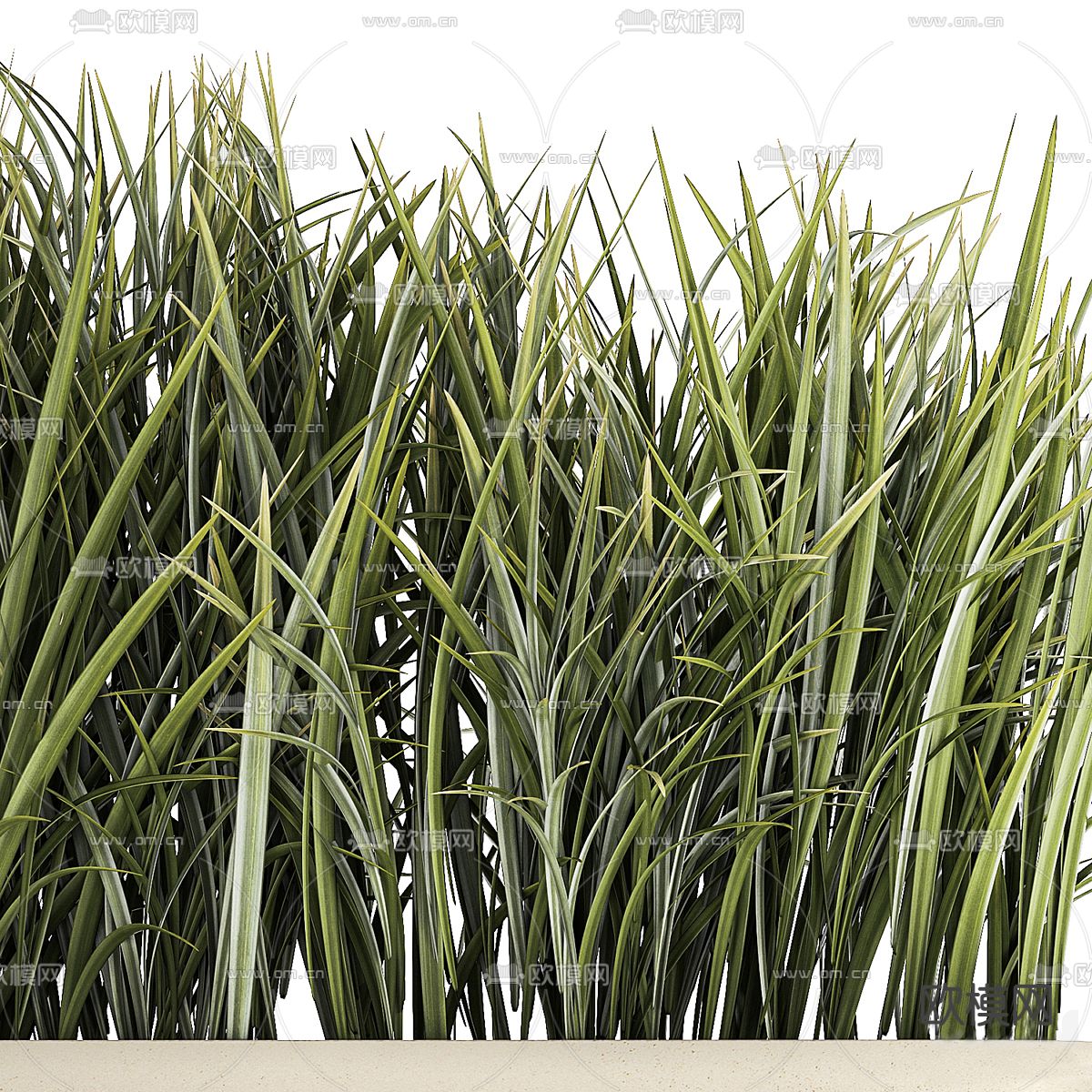 盆栽 盆景 绿植3d模型下载（渲染图3）