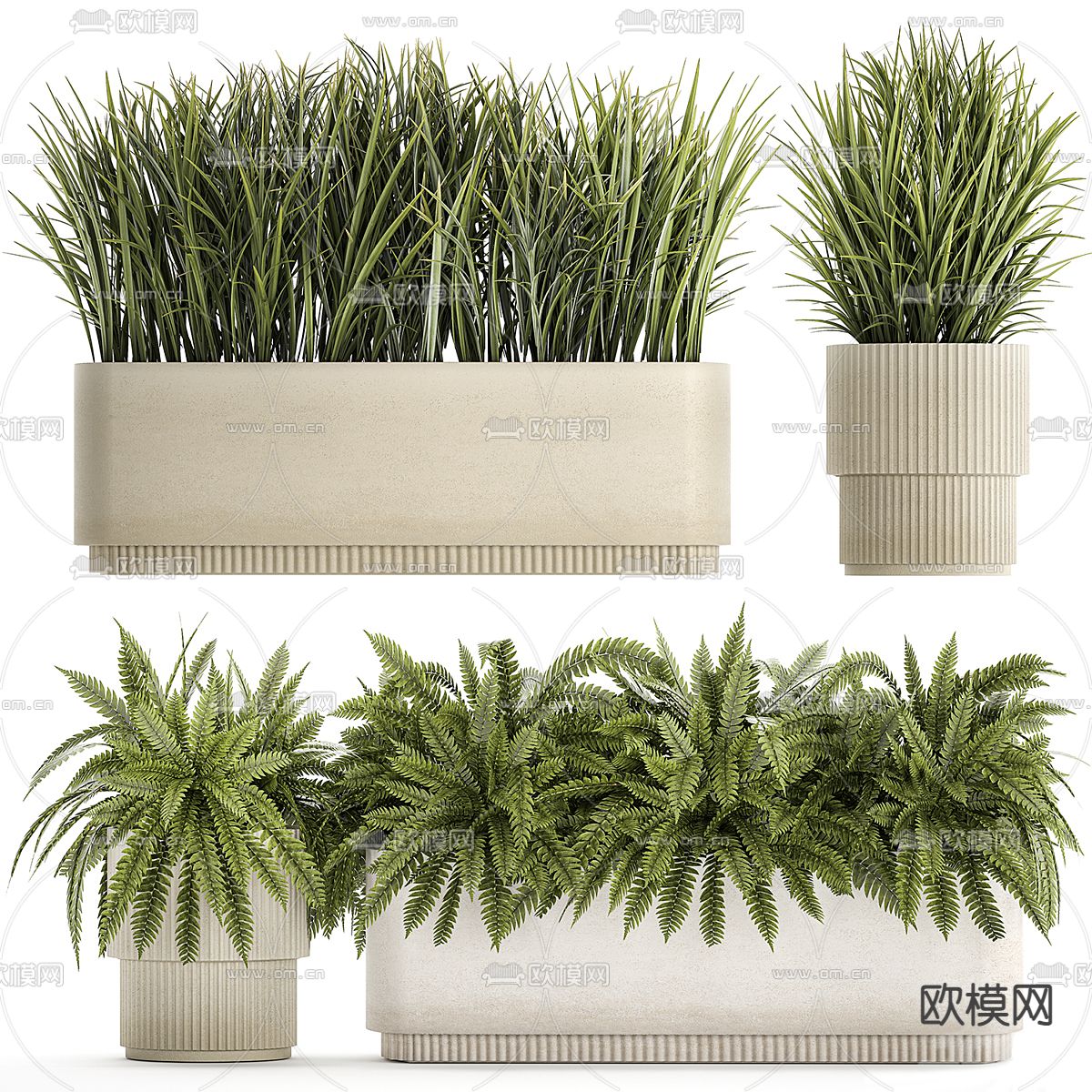 盆栽 盆景 绿植3d模型下载（渲染图1）
