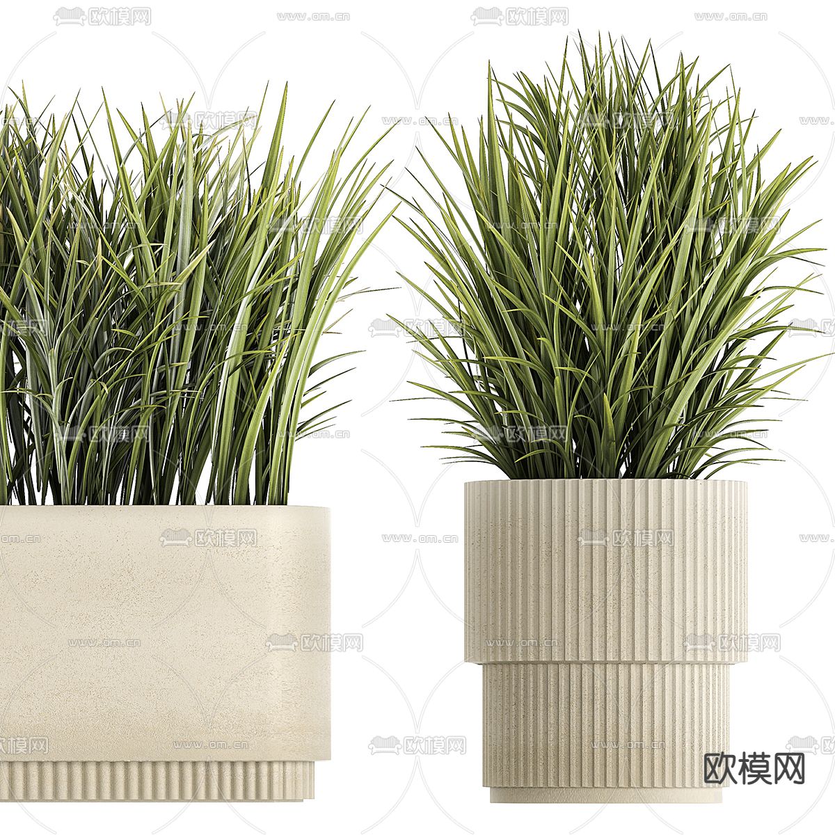 盆栽 盆景 绿植3d模型下载（渲染图2）