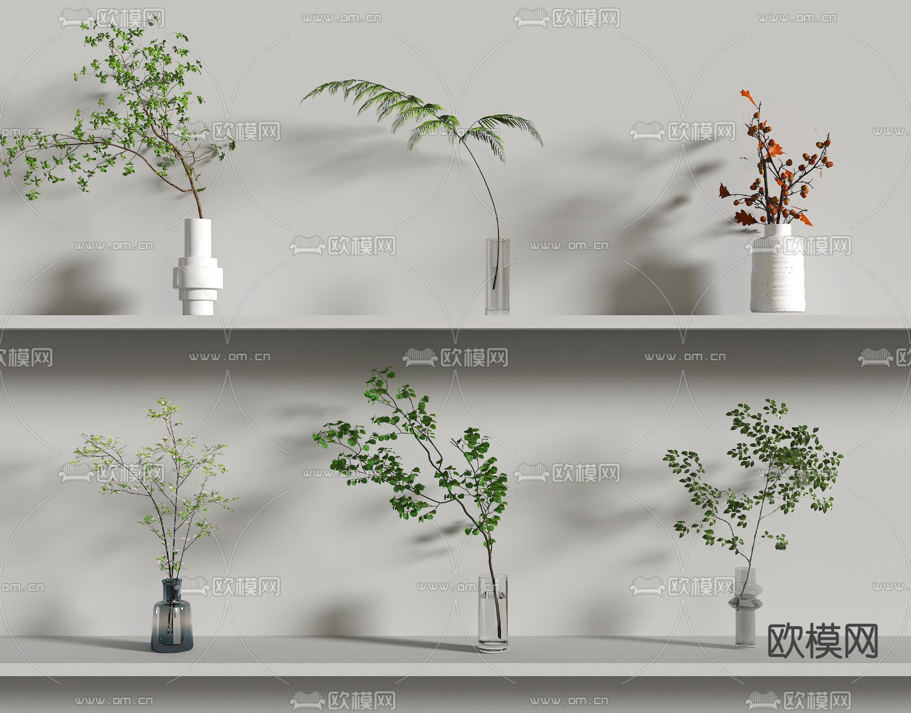 水生植物 水培绿植3d模型下载