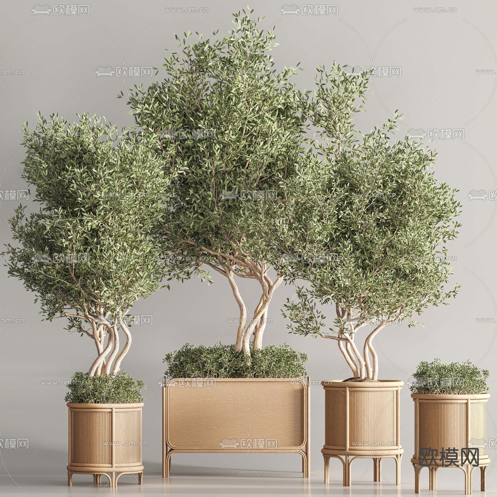 现代盆栽 盆景su模型下载（渲染图1）