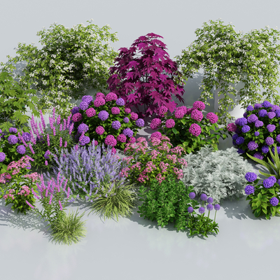  花卉 花草su模型 