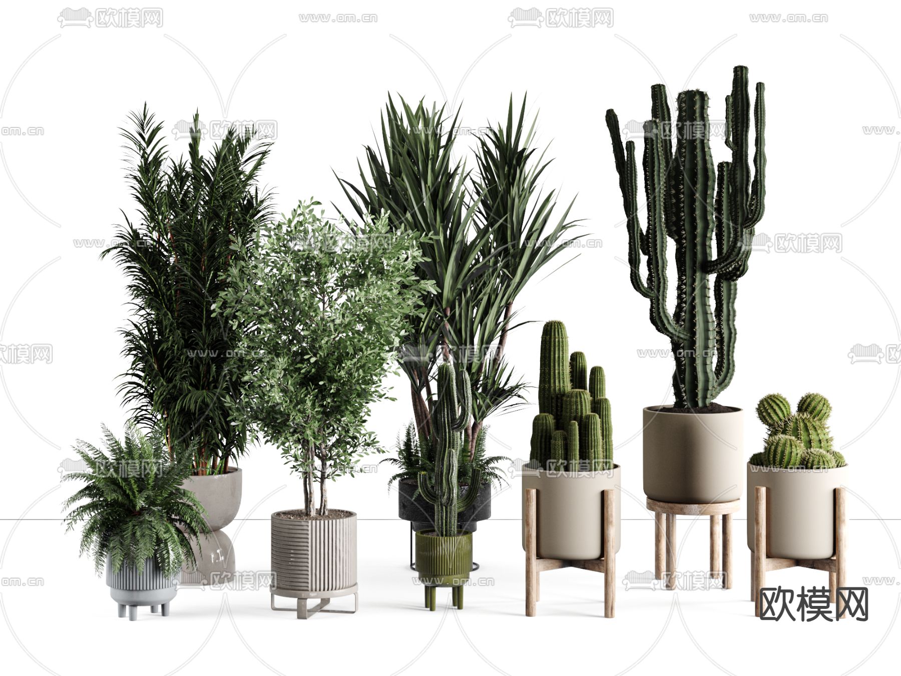 仙人掌 盆栽su模型下载