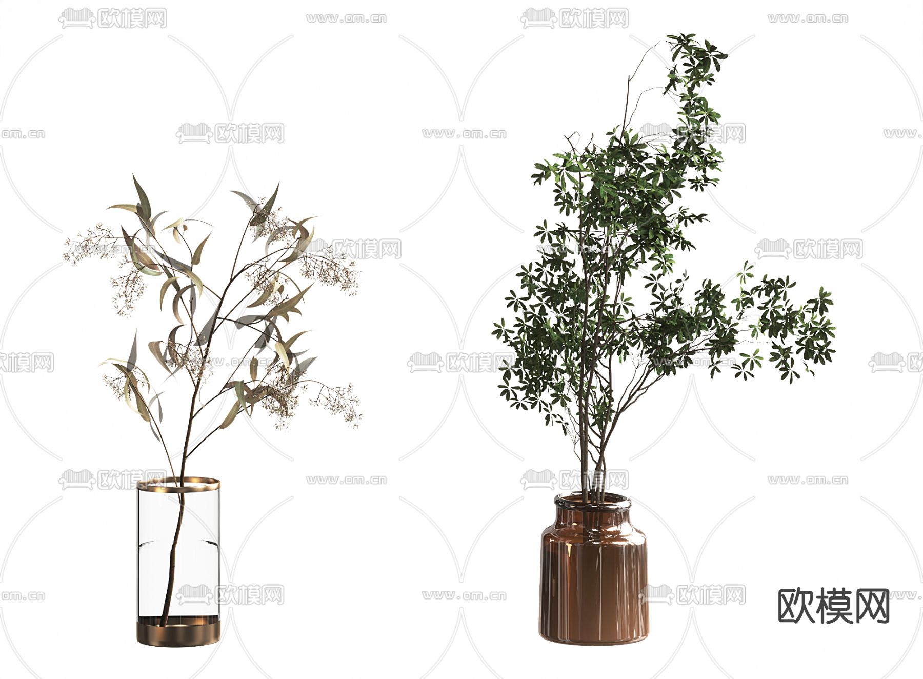 水生植物 水培绿植3d模型下载