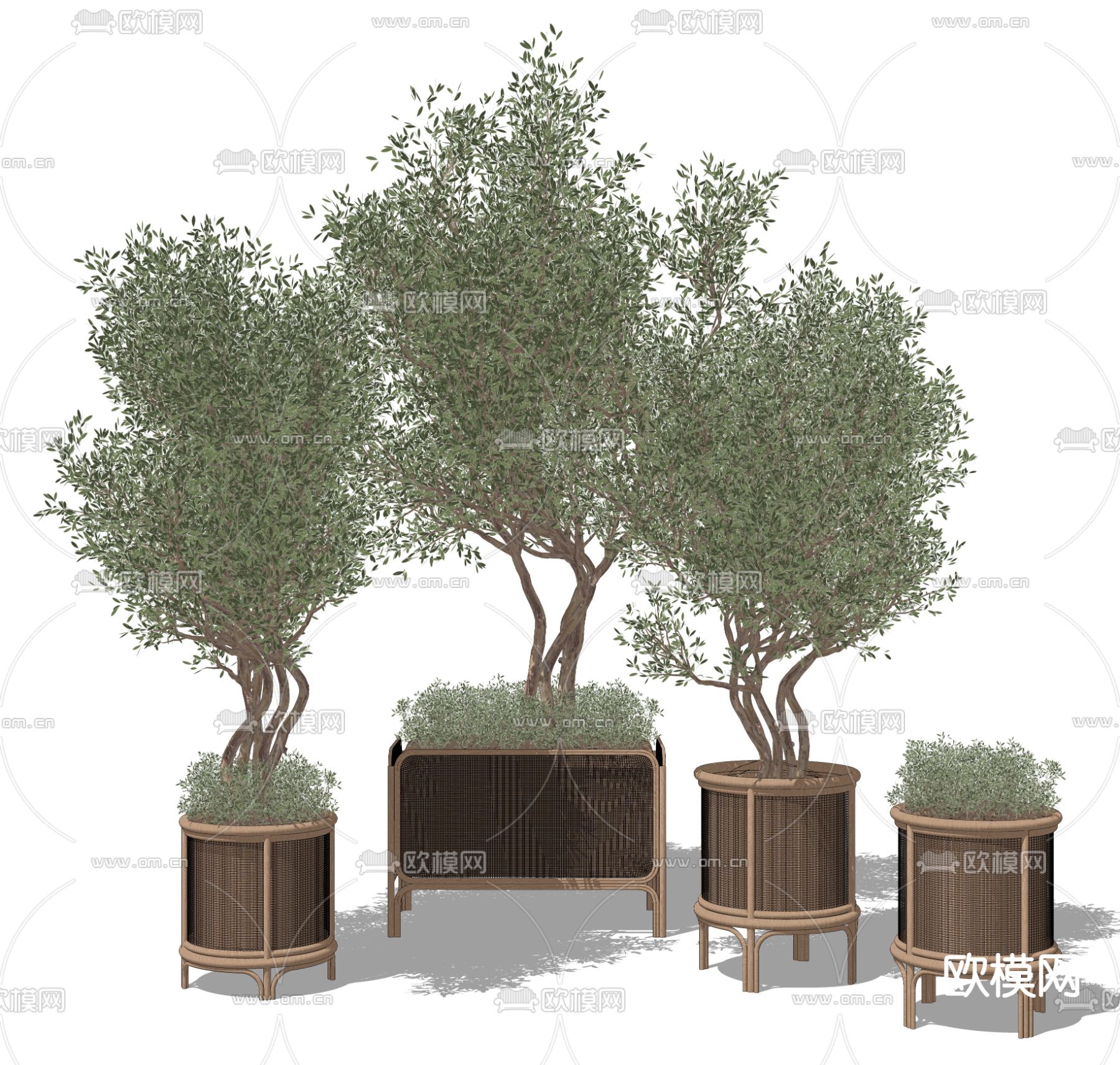 现代盆栽 盆景su模型下载（渲染图2）