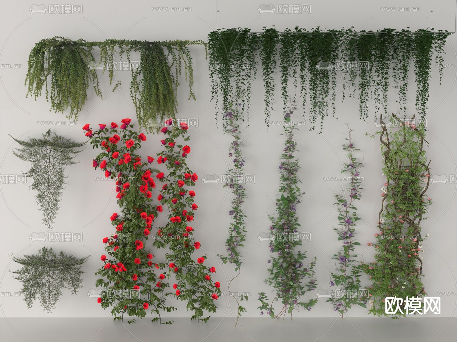 现代植物藤蔓su模型下载（渲染图1）