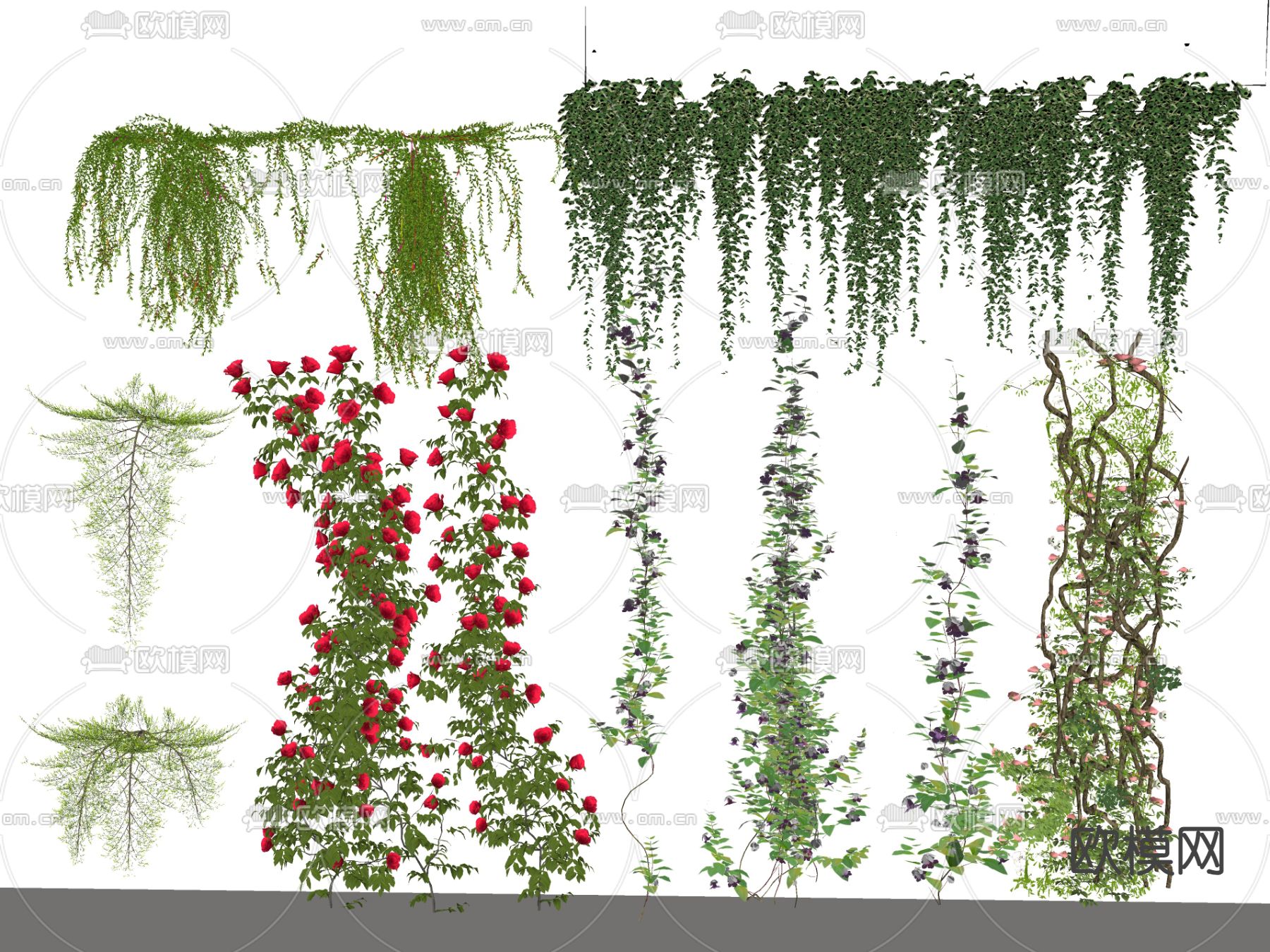现代植物藤蔓su模型下载（渲染图2）
