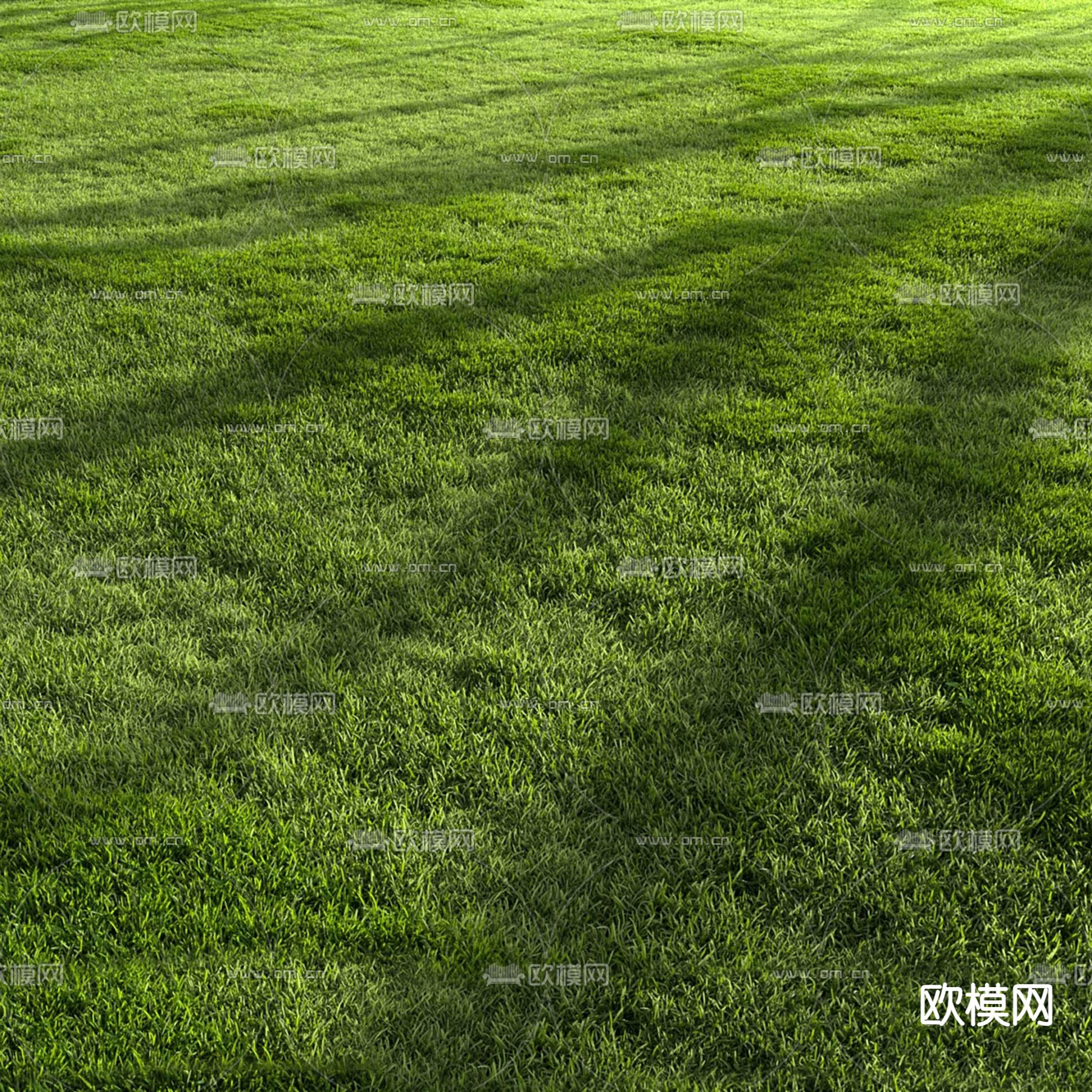 草坪 草地 草皮 花草3d模型下载（渲染图1）
