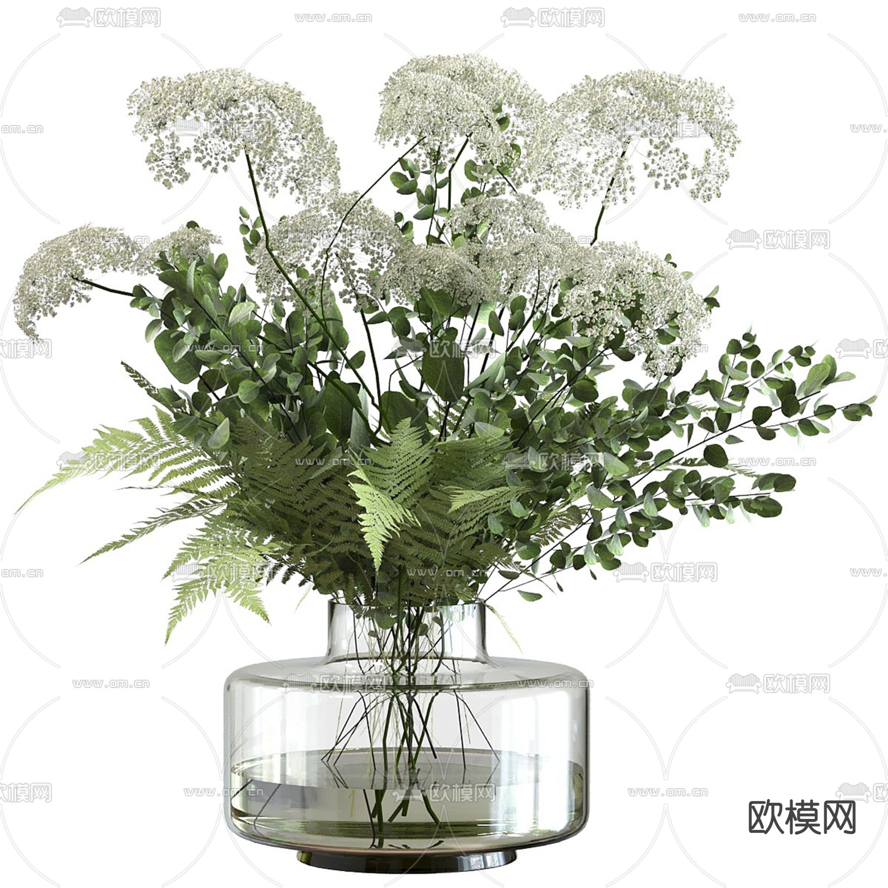 水生植物 水培绿植3d模型下载（渲染图2）
