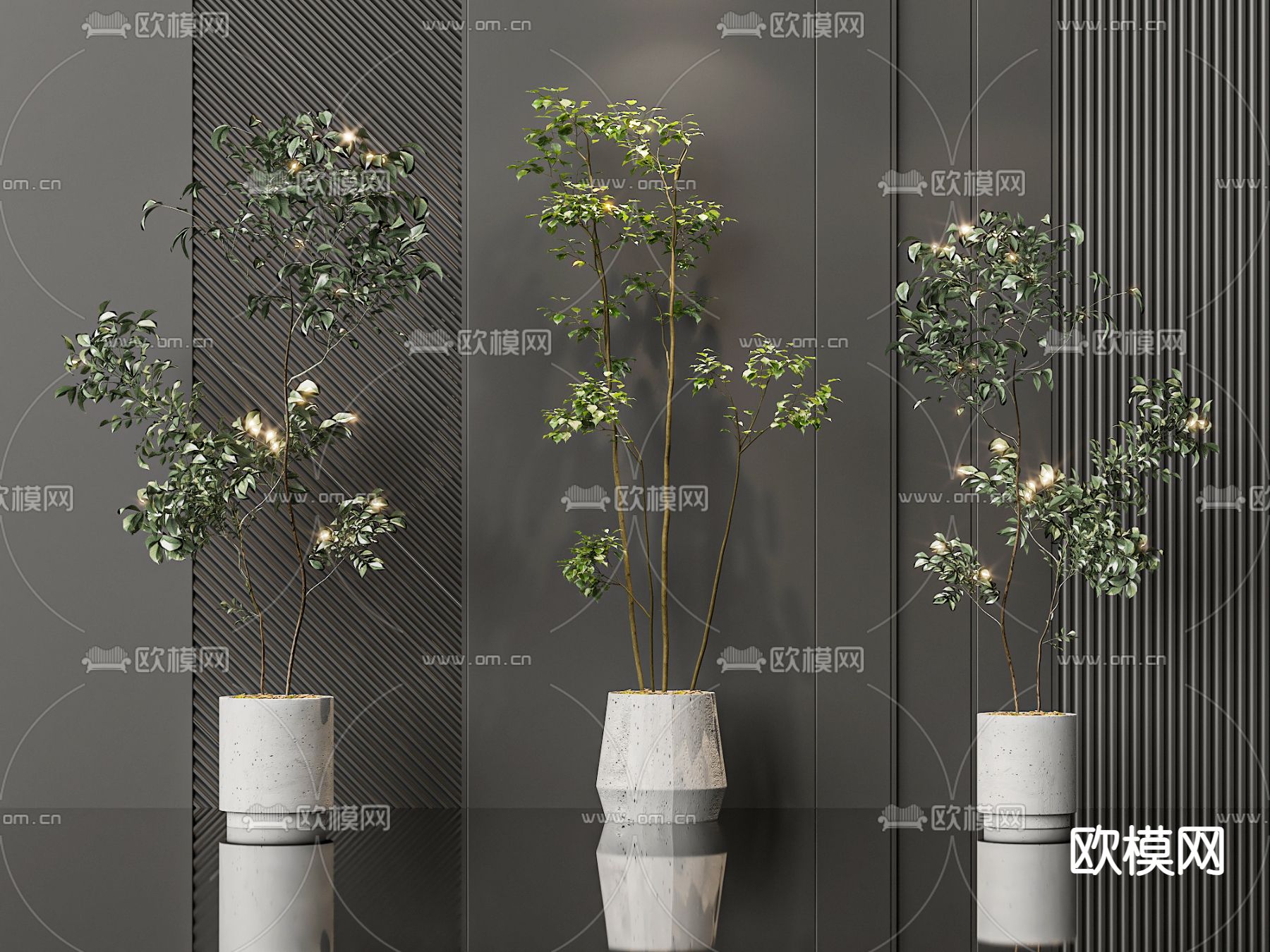 盆栽 盆景 绿植3d模型下载_ID14207251_3dmax免费模型-欧模网