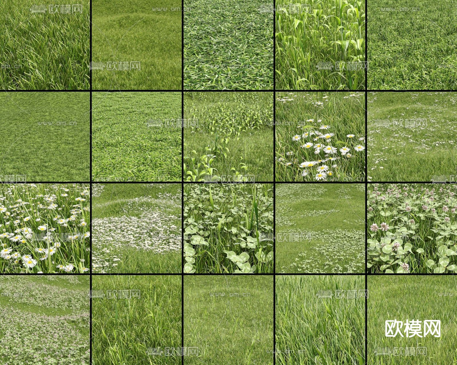 草坪 草地 草原 小草su模型下载（渲染图1）