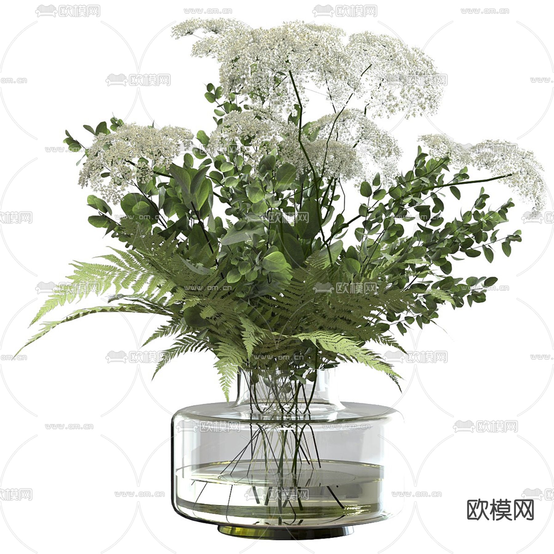 水生植物 水培绿植3d模型下载（渲染图1）