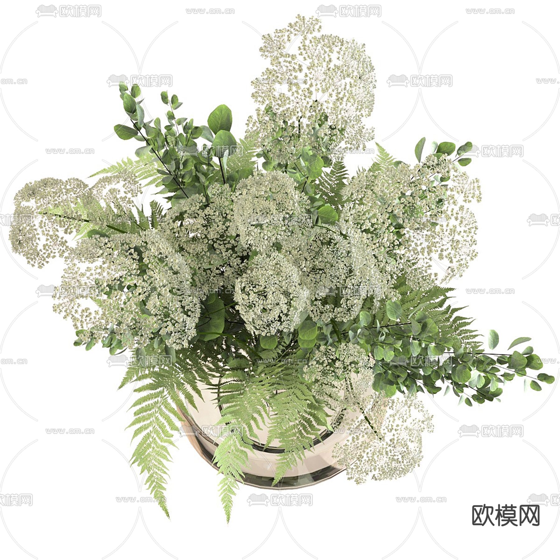 水生植物 水培绿植3d模型下载（渲染图3）